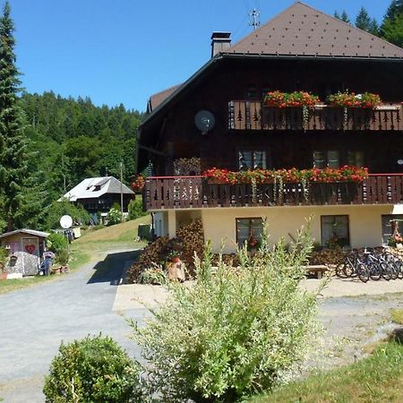 Haus Biehler Apartment ทอดท์โมส ภายนอก รูปภาพ